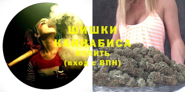 МДПВ Дмитровск