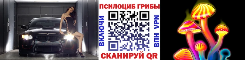 цена   Якутск  mega как зайти  Псилоцибиновые грибы GOLDEN TEACHER 